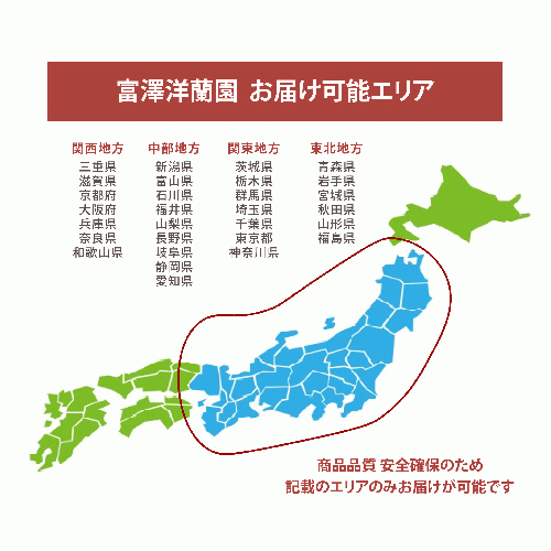 胡蝶蘭画像