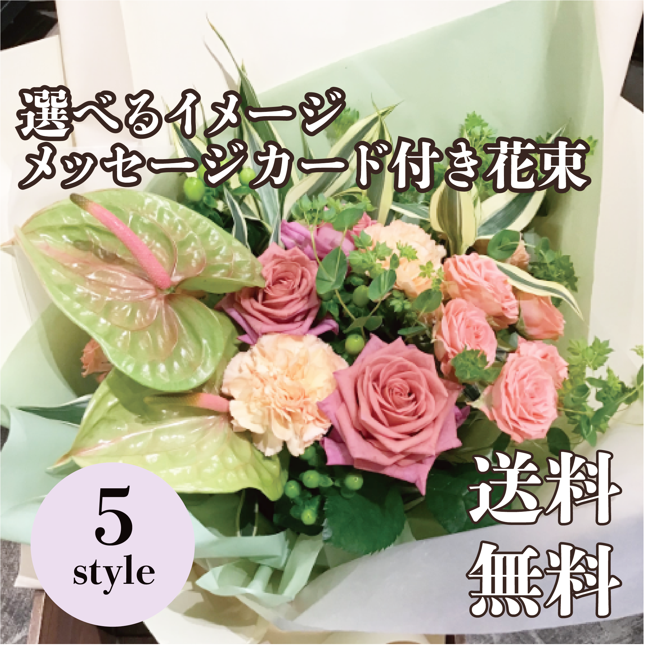 胡蝶蘭画像