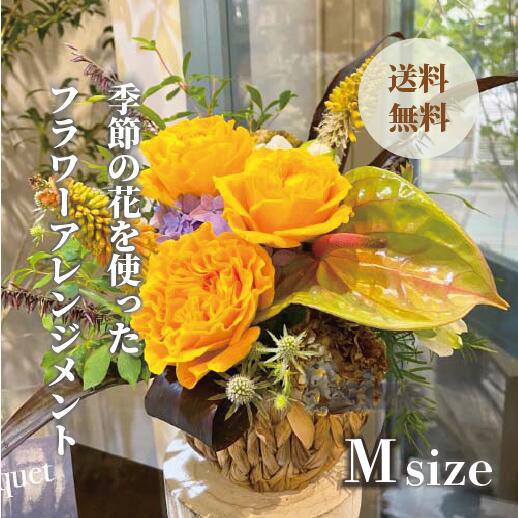 胡蝶蘭画像