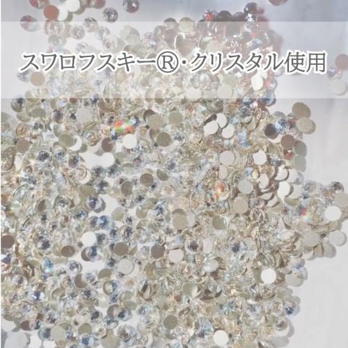 胡蝶蘭画像