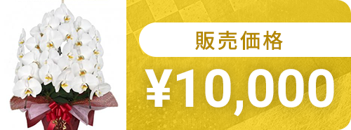 10,000円