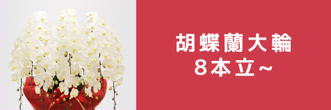 8本立以上
