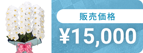15,000円