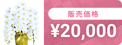 20,000円