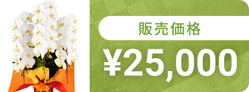 25,000円