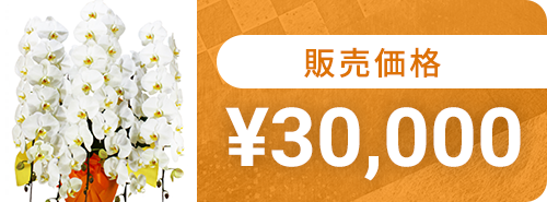 30,000円