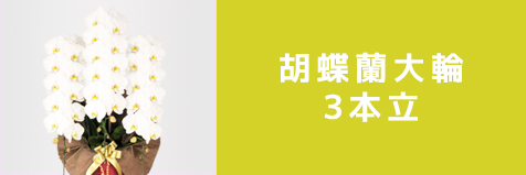 3本立