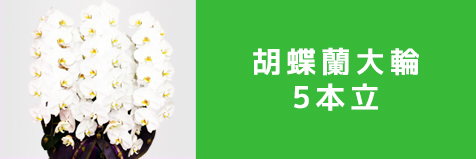 5本立