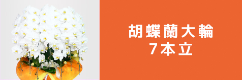 7本立