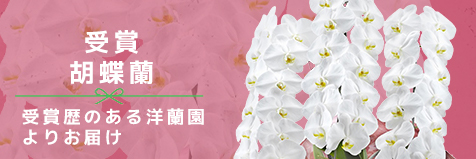 受賞