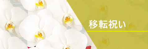 移転祝い