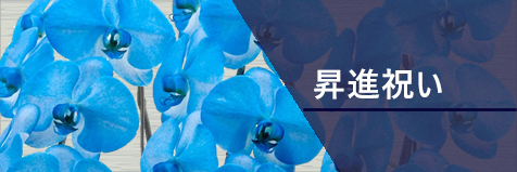 昇進祝い