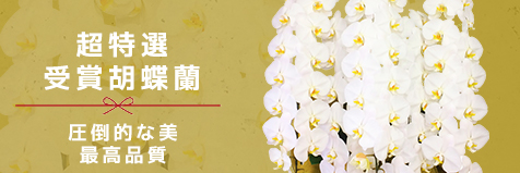 超特選