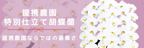 提携農園特別