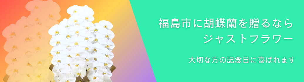 福島市で胡蝶蘭を贈るならジャストフラワー｜開店祝い・ビジネス・当日配送対応