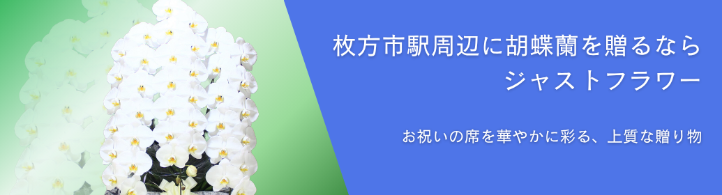 京阪沿線屈指の中核都市である枚方市駅周辺で、ビジネスの開店祝いやオフィス移転、各種式典で贈る胡蝶蘭をお探しですか？