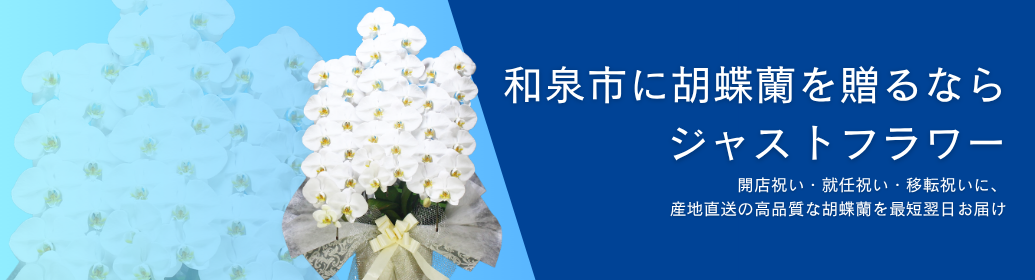 【和泉市】イベント・公演・開店祝いに胡蝶蘭をお届け｜会場・企業・店舗への祝花ならジャストフラワー