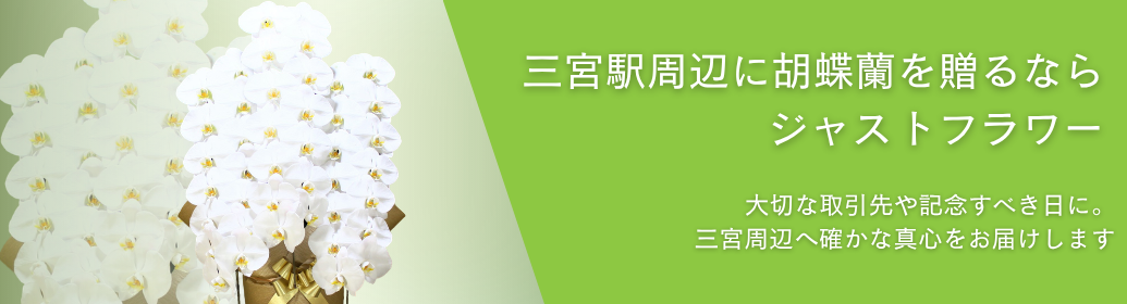 三宮駅周辺に胡蝶蘭を贈るなら｜神戸国際会館の公演・旧居留地の移転・北野坂の開店祝い・生田神社への奉納まで即日配送