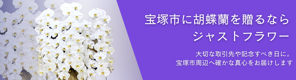 宝塚市に胡蝶蘭を贈るなら｜宝塚大劇場の公演・ソリオ宝塚の開店祝い・クリニック開院・中山寺への奉納まで即日配送