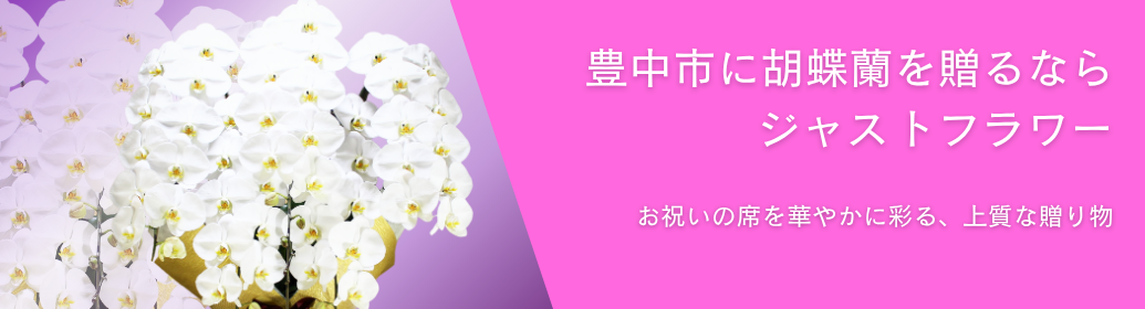 豊中市内でビジネスの開店祝いやオフィス移転、各種式典で贈る胡蝶蘭をお探しですか？