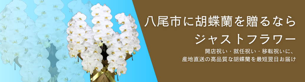 八尾市内でビジネスの開店祝いやオフィス移転、各種式典で贈る胡蝶蘭をお探しですか？